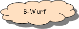 Reserviert: B-Wurf