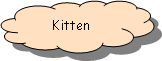 Reserviert: Kitten